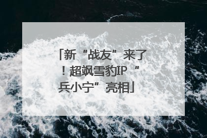 新“战友”来了！超飒雪豹IP“兵小宁”亮相