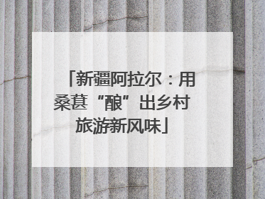 新疆阿拉尔：用桑葚“酿”出乡村旅游新风味
