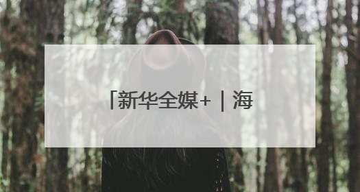 新华全媒+｜海南自贸港：政策创新赋能产业发展