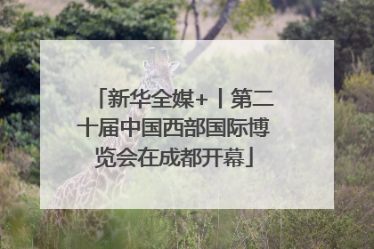 新华全媒+丨第二十届中国西部国际博览会在成都开幕