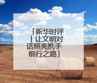 新华时评丨让文明对话照亮携手前行之路