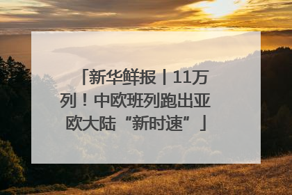 新华鲜报丨11万列！中欧班列跑出亚欧大陆“新时速”