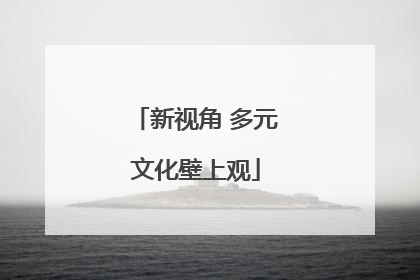 新视角 多元文化壁上观