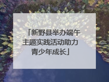 新野县举办端午主题实践活动助力青少年成长