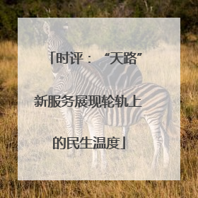 时评：“天路”新服务展现轮轨上的民生温度