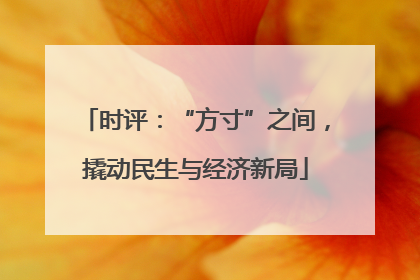 时评：“方寸”之间，撬动民生与经济新局