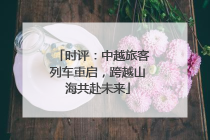 时评：中越旅客列车重启，跨越山海共赴未来