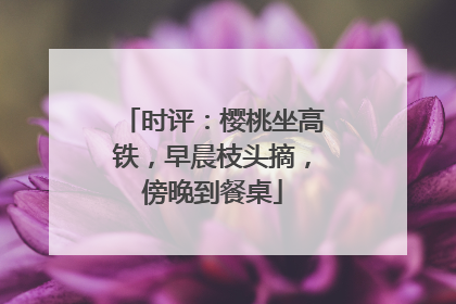 时评：樱桃坐高铁，早晨枝头摘，傍晚到餐桌