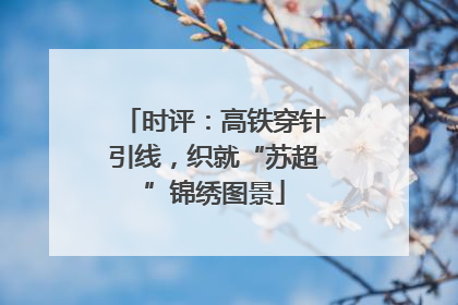 时评：高铁穿针引线，织就“苏超”锦绣图景