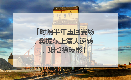时隔半年重回赛场，樊振东上演大逆转，3比2徐瑛彬