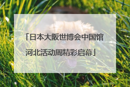 日本大阪世博会中国馆河北活动周精彩启幕