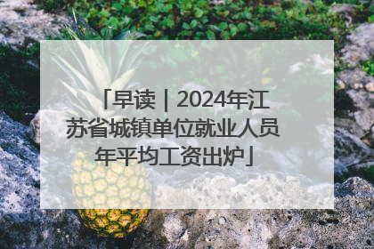 早读｜2024年江苏省城镇单位就业人员年平均工资出炉