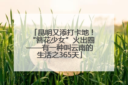 昆明又添打卡地！“簪花少女”火出圈——有一种叫云南的生活之365天