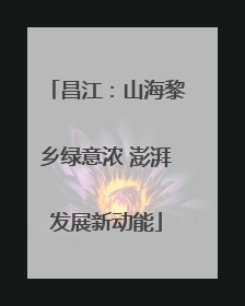 昌江：山海黎乡绿意浓 澎湃发展新动能
