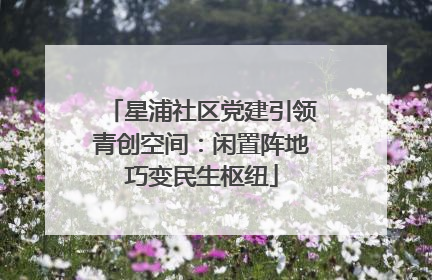 星浦社区党建引领青创空间：闲置阵地巧变民生枢纽