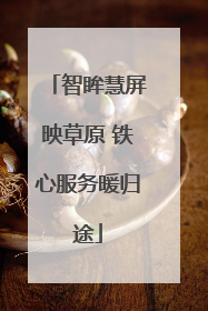 智眸慧屏映草原 铁心服务暖归途
