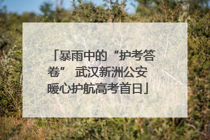 暴雨中的“护考答卷” 武汉新洲公安暖心护航高考首日