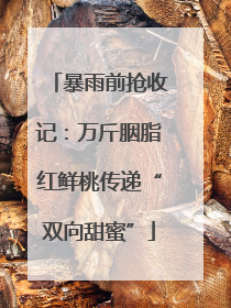 暴雨前抢收记：万斤胭脂红鲜桃传递“双向甜蜜”