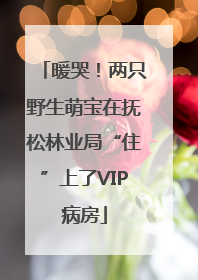 暖哭！两只野生萌宝在抚松林业局“住”上了VIP病房