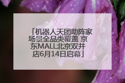 机器人天团助阵家场景全品类覆盖 京东MALL北京双井店6月14日启幕