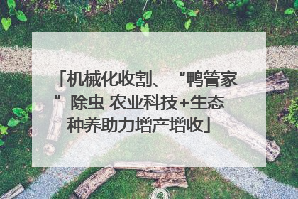 机械化收割、“鸭管家”除虫 农业科技+生态种养助力增产增收