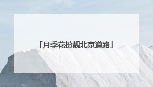 月季花扮靓北京道路
