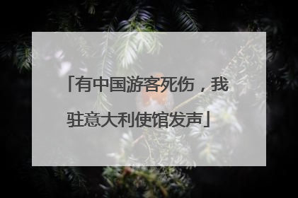 有中国游客死伤，我驻意大利使馆发声