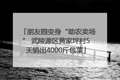 朋友圈变身“助农卖场” 武陵源区黄家坪村5天销出4000斤包菜