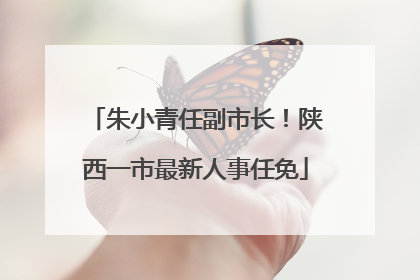 朱小青任副市长！陕西一市最新人事任免