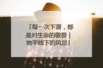 每一次下潜，都是对生命的敬畏｜地平线下的风景