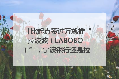 比起点赞过万就推“拉波波（LABOBO）”，宁波银行还是拉业绩吧｜财经辣评
