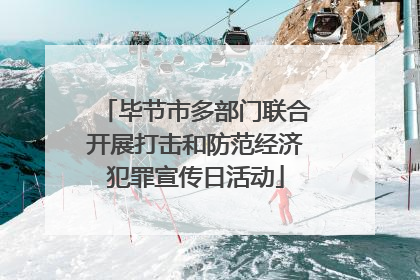 毕节市多部门联合开展打击和防范经济犯罪宣传日活动