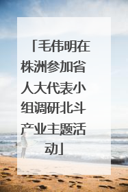 毛伟明在株洲参加省人大代表小组调研北斗产业主题活动