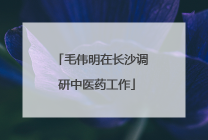 毛伟明在长沙调研中医药工作