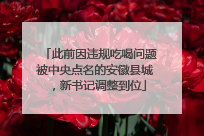 此前因违规吃喝问题被中央点名的安徽县城，新书记调整到位