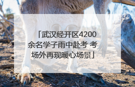 武汉经开区4200余名学子雨中赴考 考场外再现暖心场景