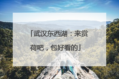 武汉东西湖：来赏荷吧，包好看的