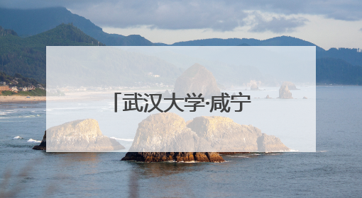 武汉大学·咸宁低空经济创新研究院签约成立