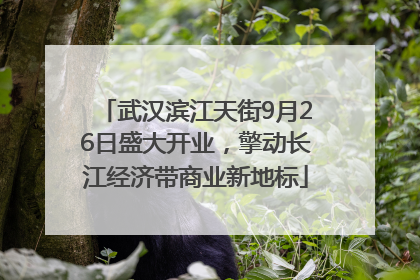武汉滨江天街9月26日盛大开业，擎动长江经济带商业新地标