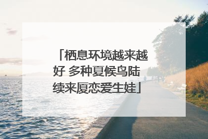 栖息环境越来越好 多种夏候鸟陆续来厦恋爱生娃