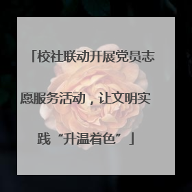 校社联动开展党员志愿服务活动，让文明实践“升温着色”