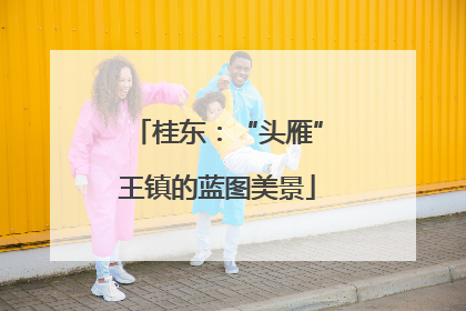 桂东：“头雁”王镇的蓝图美景