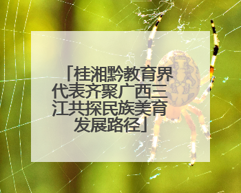 桂湘黔教育界代表齐聚广西三江共探民族美育发展路径