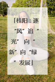 桂阳：逐“风”追“光” 向“新”向“绿”发展