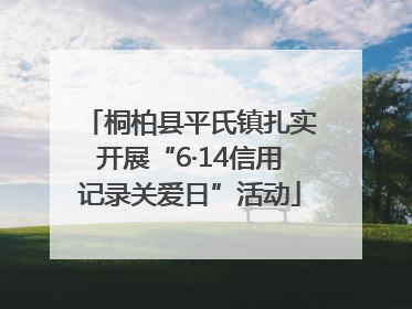 桐柏县平氏镇扎实开展“6·14信用记录关爱日”活动