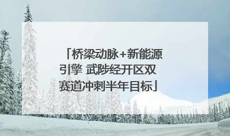 桥梁动脉+新能源引擎 武陟经开区双赛道冲刺半年目标