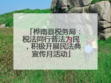 桦南县税务局：税法同行普法为民，积极开展民法典宣传月活动