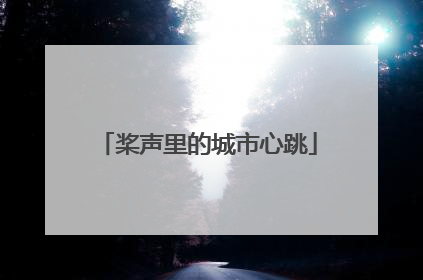 桨声里的城市心跳