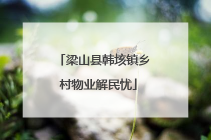 梁山县韩垓镇乡村物业解民忧