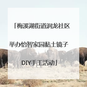 梅溪湖街道润龙社区举办怡智家园黏土镜子DIY手工活动